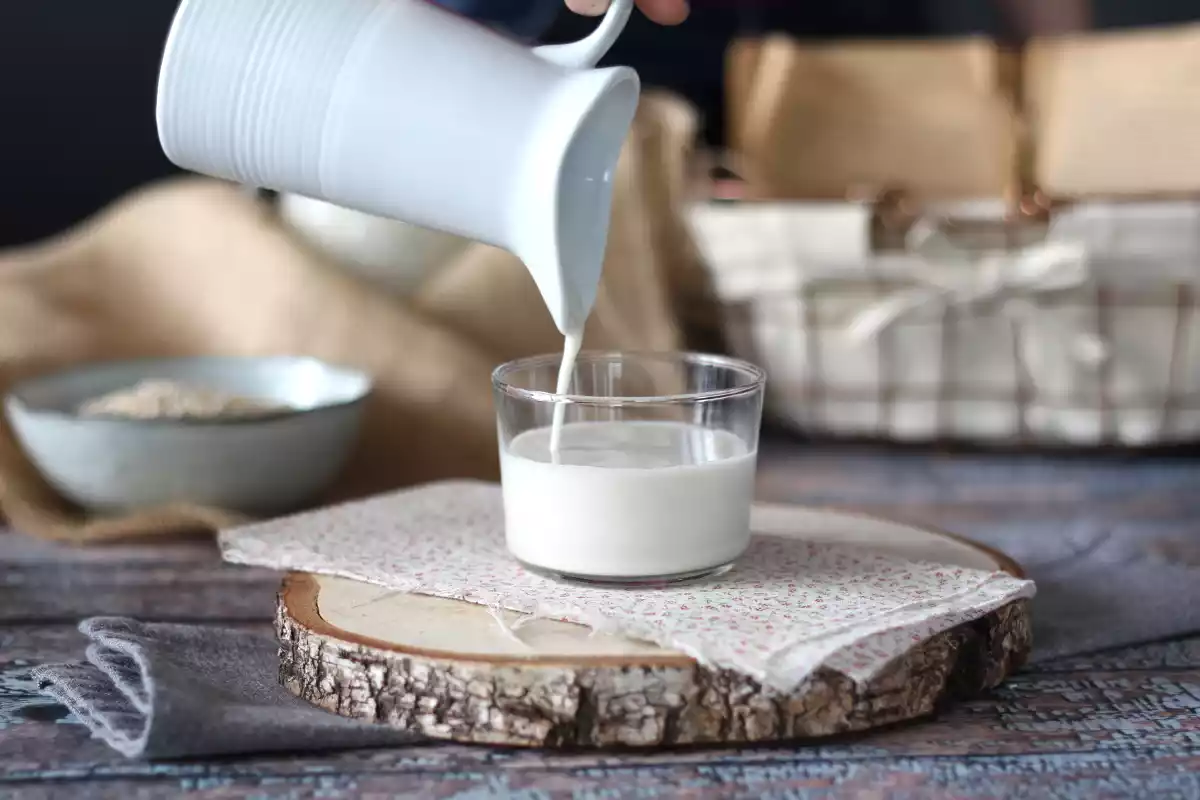 Zelf plantaardige melk maken: is dat echt beter voor je gezondheid?