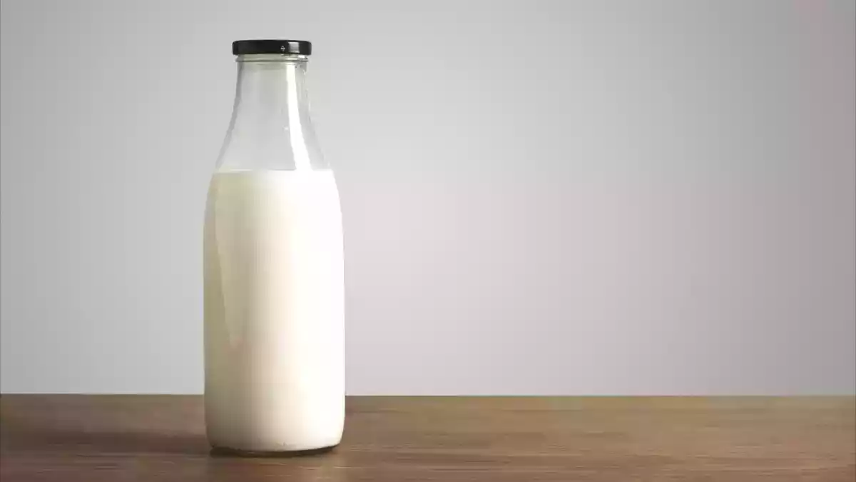 Waarom je je melk niet langer in de koelkastdeur moet bewaren