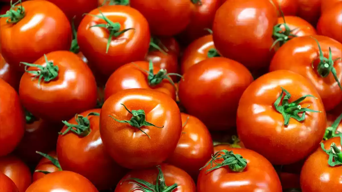 Gaan tomaten langer mee? Hier zijn 5 tips die echt werken
