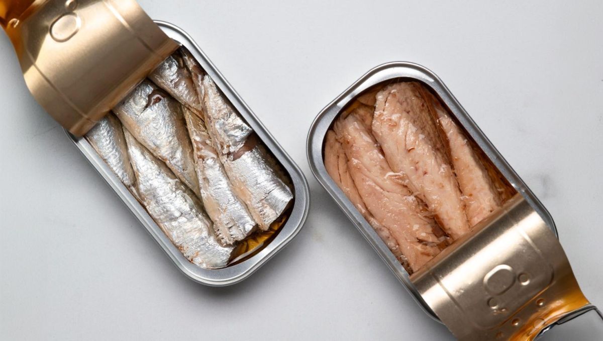 De terugkeer van sardines in blik: waarom dit visje alles in zich heeft