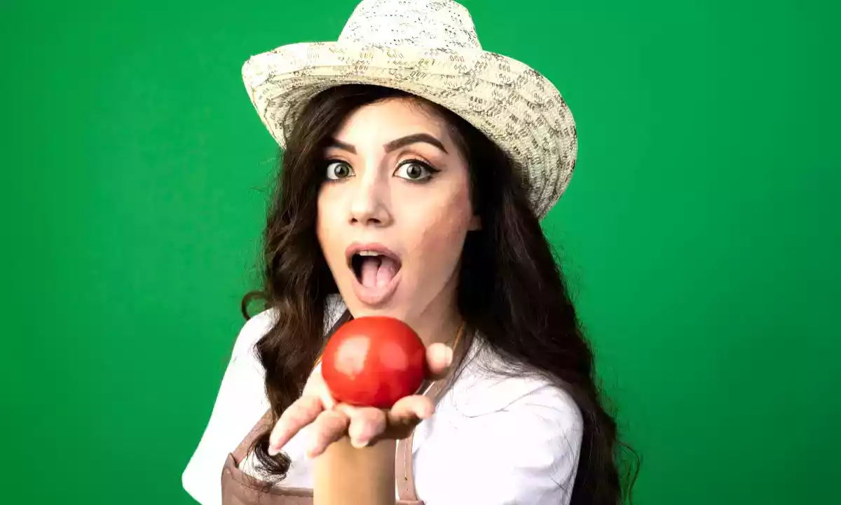 Tomaat: fruit of groente? De waarheid zal je choqueren!
