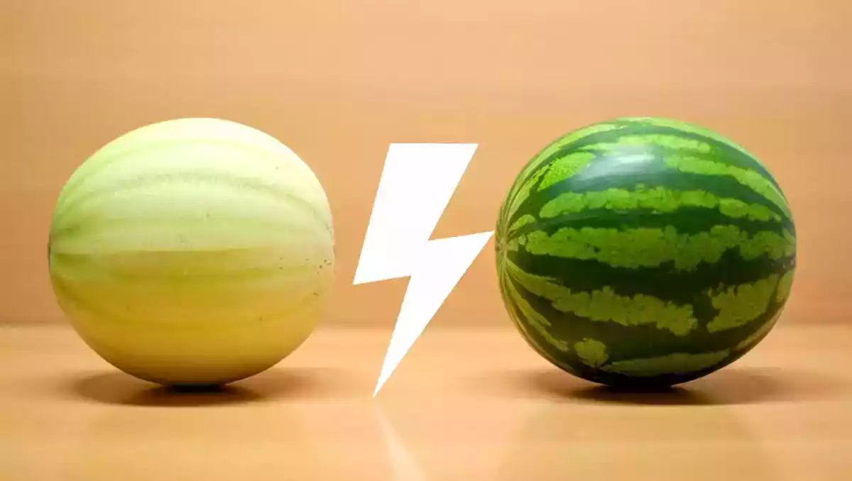 Meloen vs watermeloen: wat hydrateert beter?