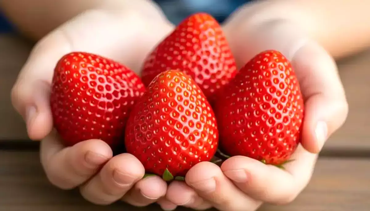 Aardbeien blijven je verrassen: de waarheid achter hun gele puntjes