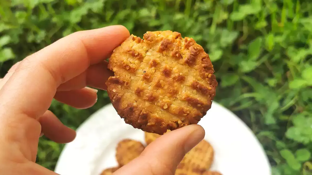Makkelijke en goedkope koekjes: 10 snelle recepten die altijd werken (zelfs als je slecht bent in de keuken!)