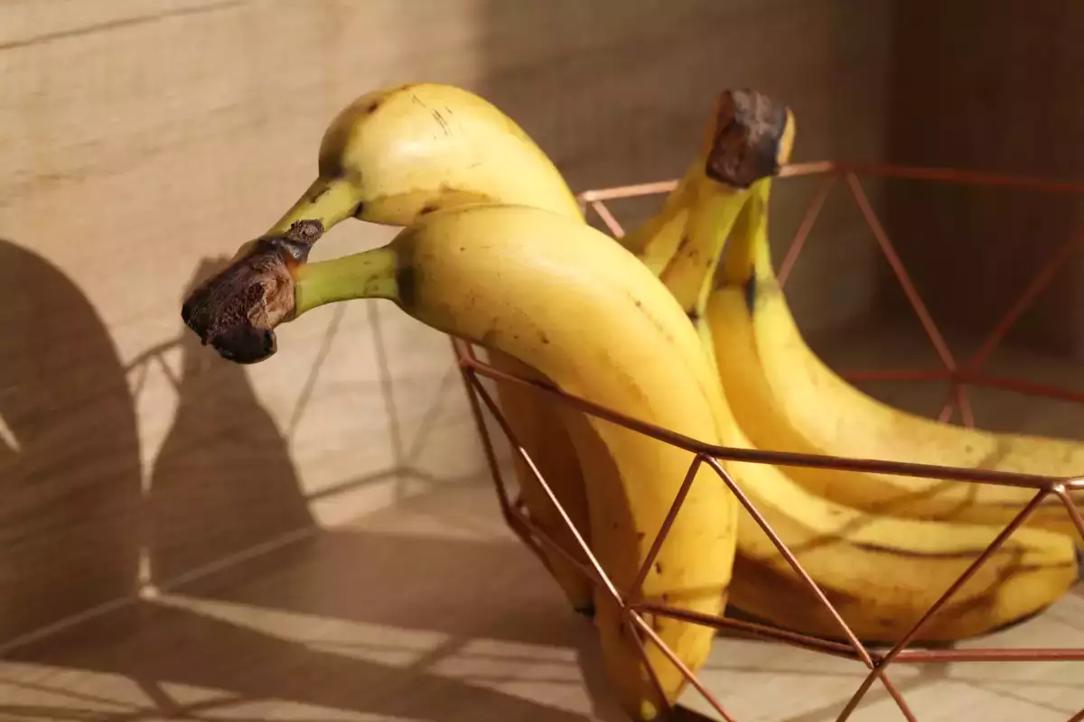 Moet je bananen echt in de koelkast bewaren - het duidelijke antwoord