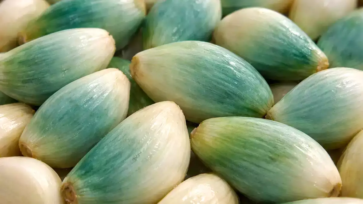 Groene of blauwe knoflook in je keuken? Veel mensen gooien het weg zonder te beseffen wat het echt betekent