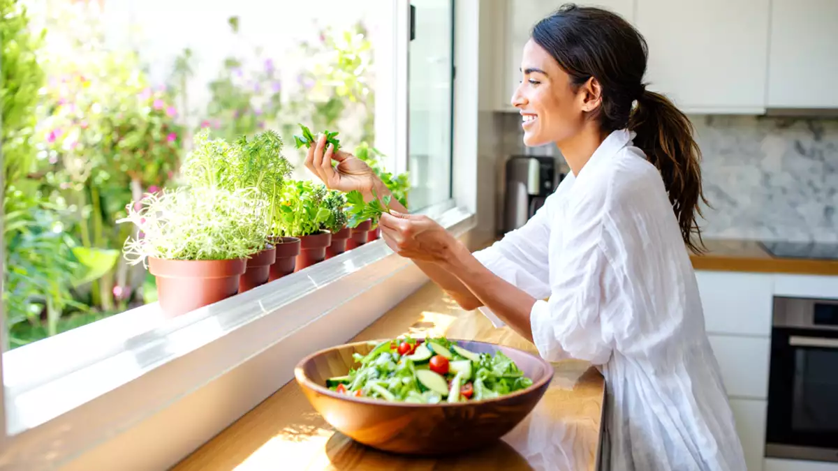 5 kruiden die het best leven in de keuken en 5 die echt zonlicht nodig hebben