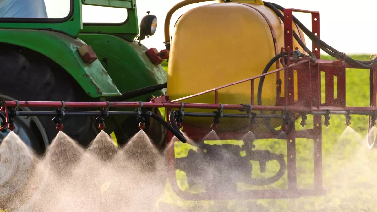 Is biologisch eten genoeg om cadmium te vermijden? Wat Anses echt zegt (en waarom het debat voor opschudding zorgt)