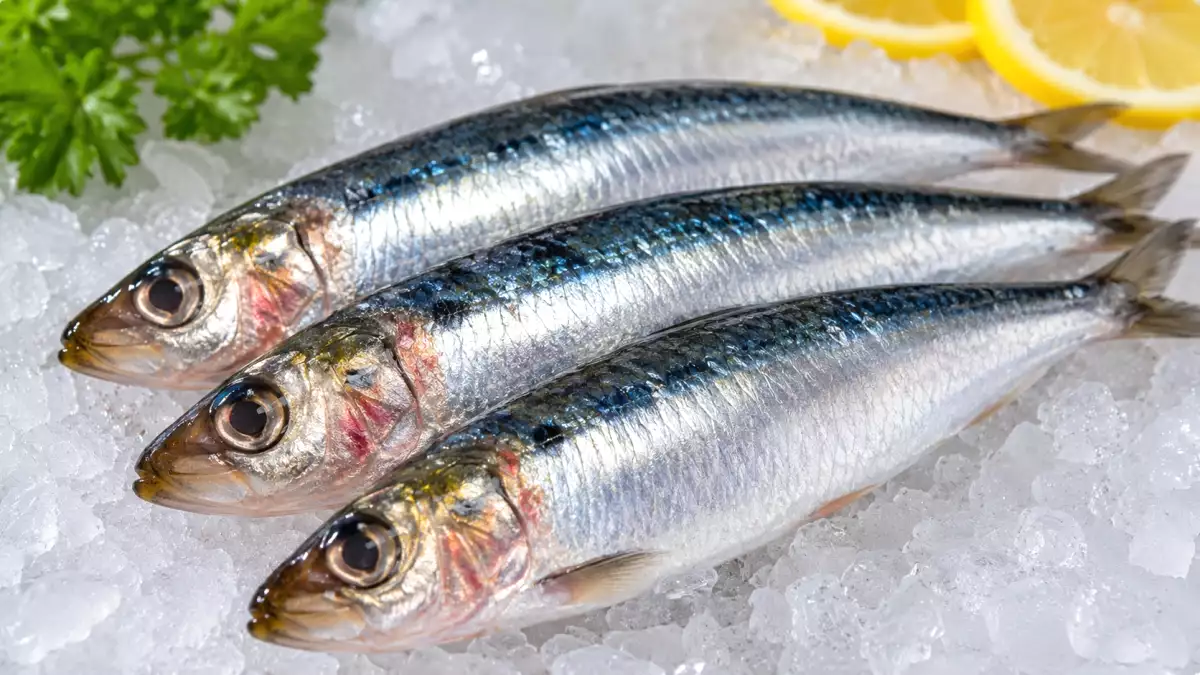 Hoe herken je een sardine die niet goed is? De signalen die je nooit mag negeren