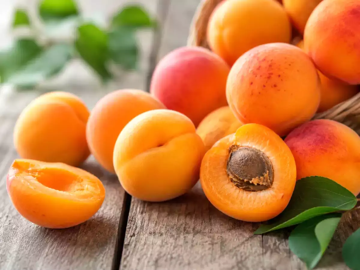 Abrikozen zijn momenteel bijzonder voordelig: 12 recepten om ervan te genieten