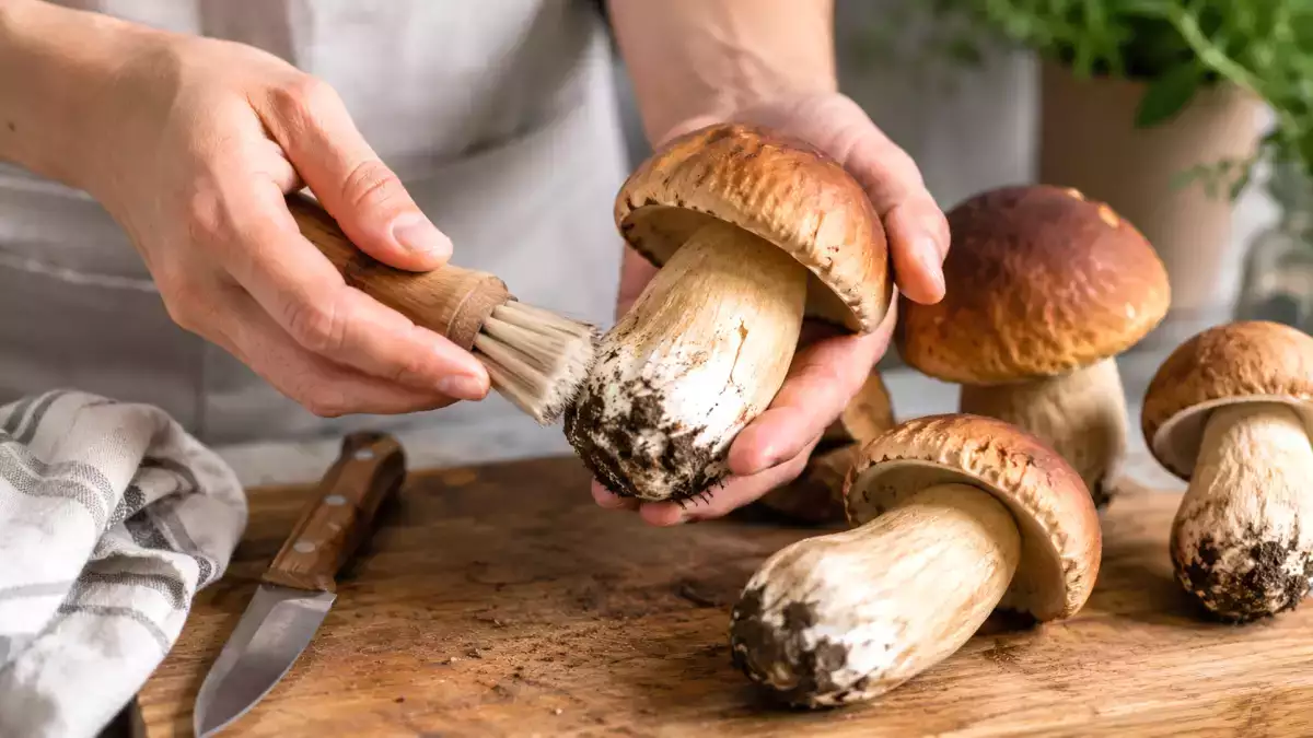 Heb je net verse eekhoorntjesbrood schoongemaakt? Dit simpele gebaar moet je absoluut vermijden voordat je ze gaat bereiden