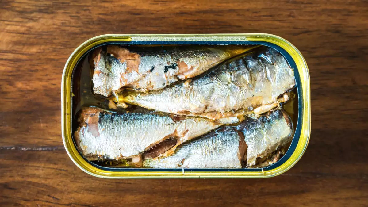 Geen sardines in blik meer? Hier zijn de beste alternatieven, afhankelijk van wat u kookt