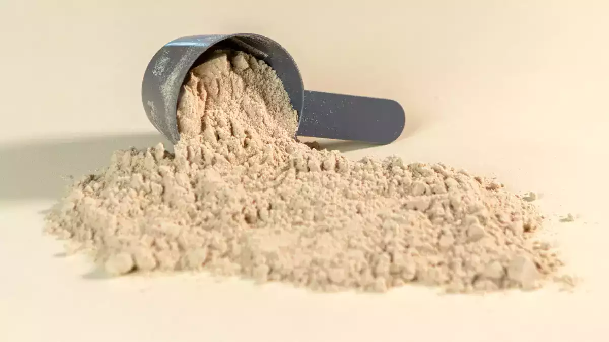 Overweeg je om eiwitpoeder te kopen? Waar moet je op letten voordat je een pot koopt?