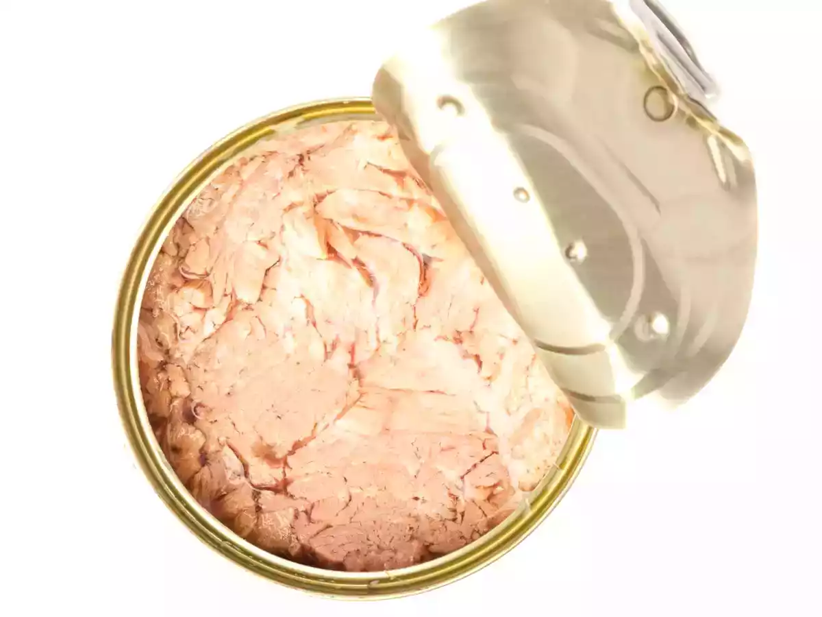 Tonijn in blik: wees voorzichtig met wat je eet! Gids voor het kiezen van het beste product