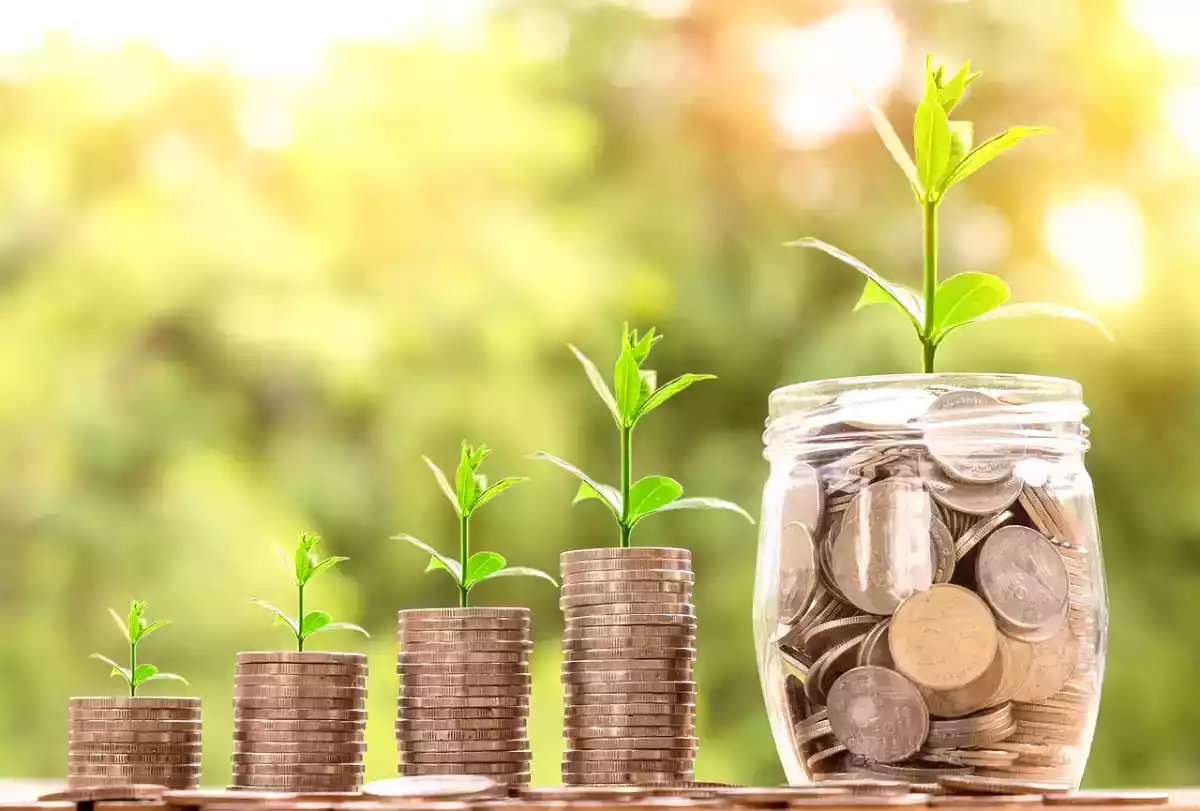 Gezond eten zonder de bank te spekken: ontdek de voordeligste voedingsmiddelen!