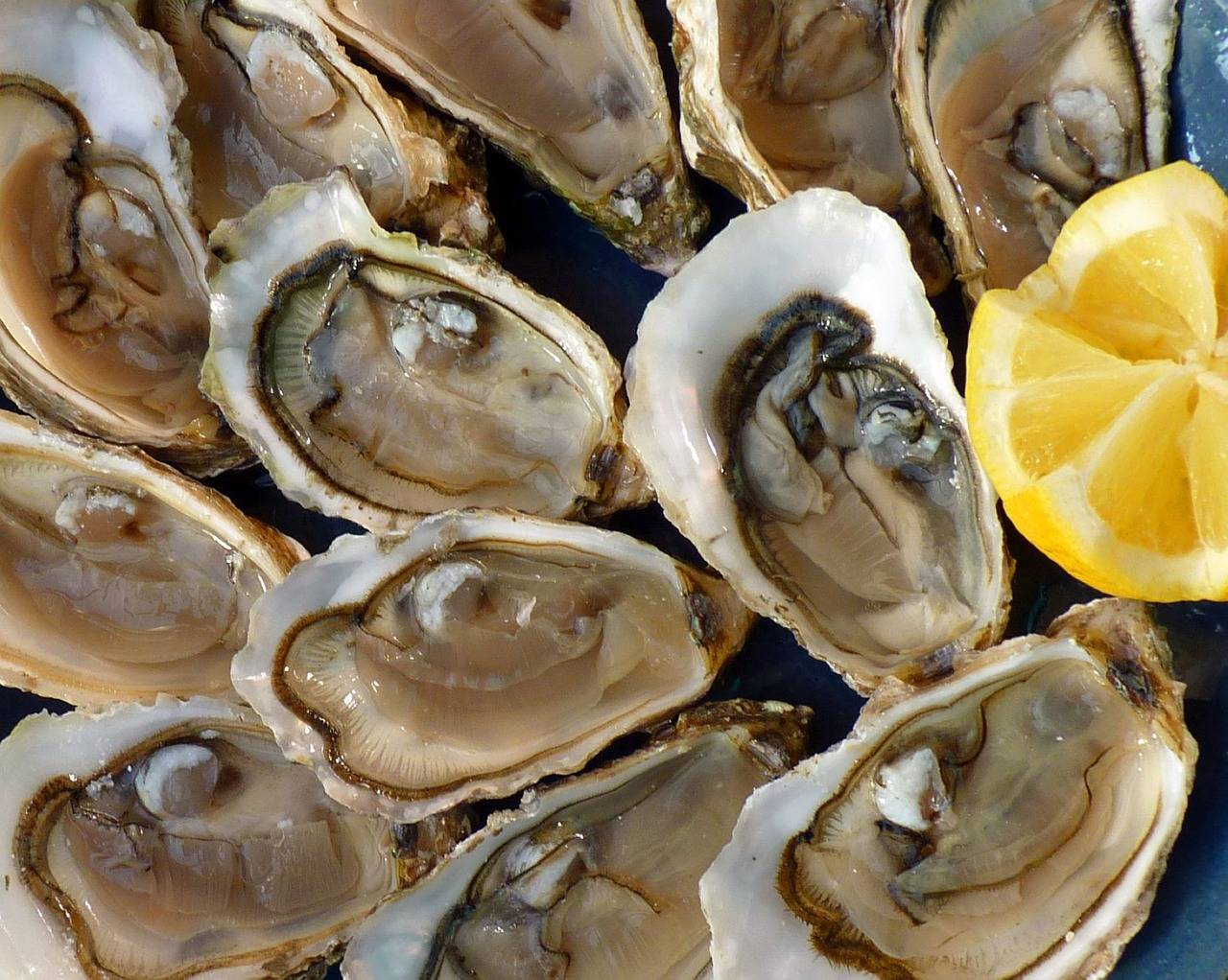 Hoe open je oesters veilig en gemakkelijk?