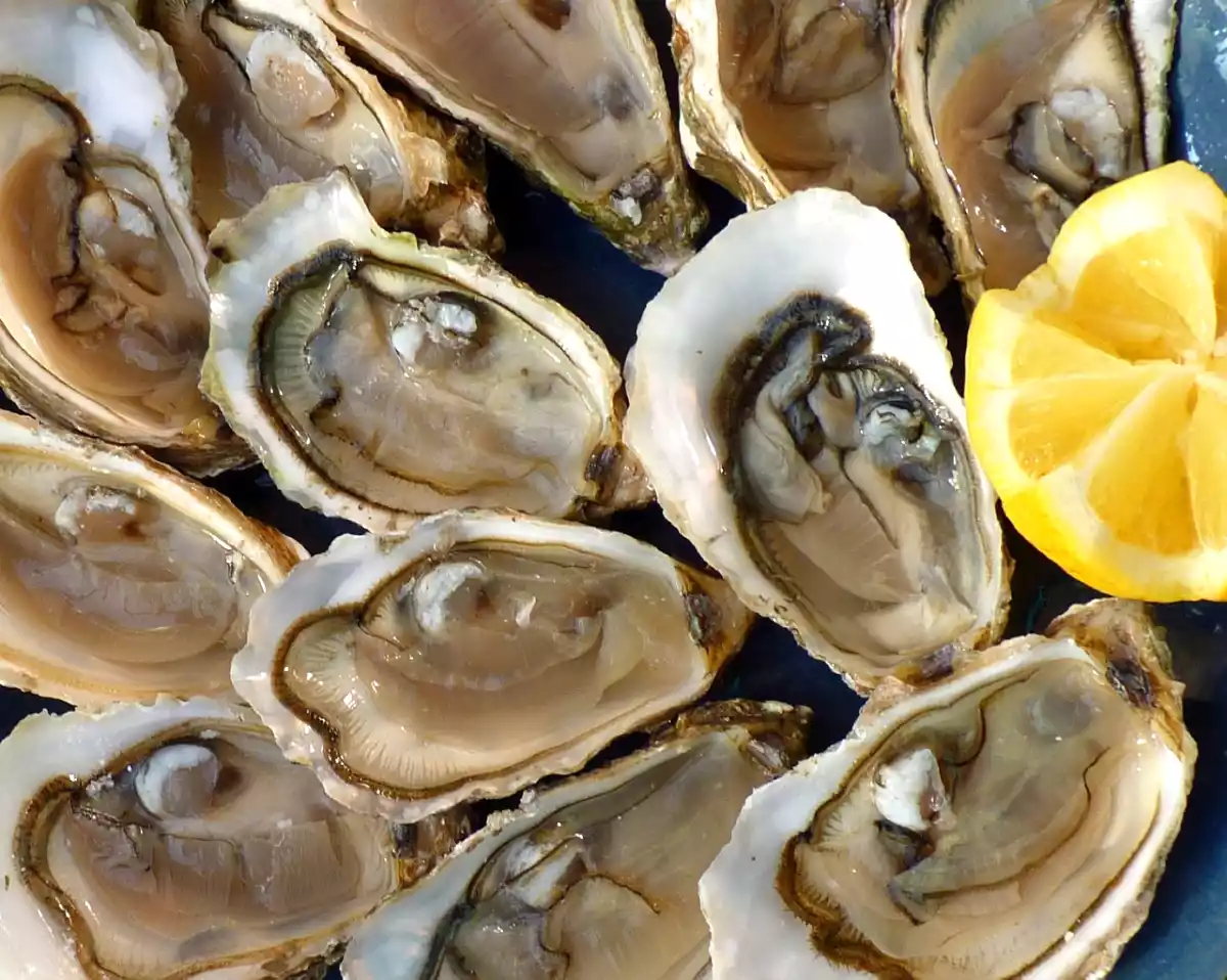 Hoe open je oesters veilig en gemakkelijk?