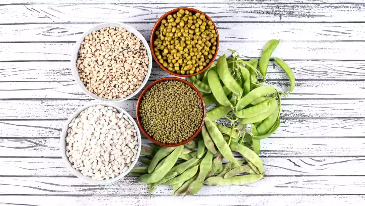 Verbeter je metabolische gezondheid met deze 5 krachtige plantaardige eiwitten!