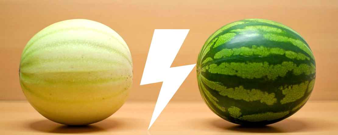 Meloen vs watermeloen: wat hydrateert beter?