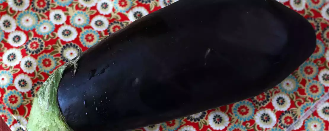 Onze 10 beste auberginerecepten: gegrild, geroosterd, kaviaar, hoe maak je hem deze zomer subliem?