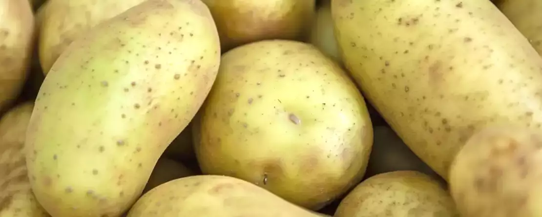 Denk je dat je hem gewoon schilt en dat dat alles is? Wat niemand je heeft verteld over de groenige aardappel in je keuken