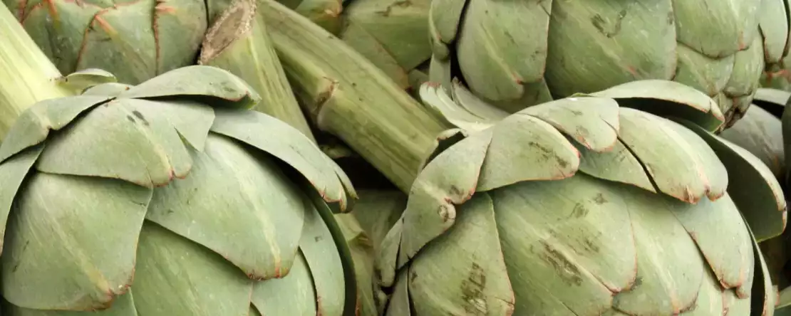 Hoe artisjokken snel en veilig koken in de magnetron