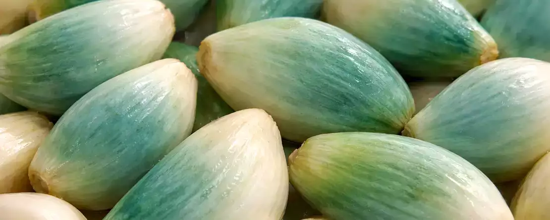 Groene of blauwe knoflook in je keuken? Veel mensen gooien het weg zonder te beseffen wat het echt betekent