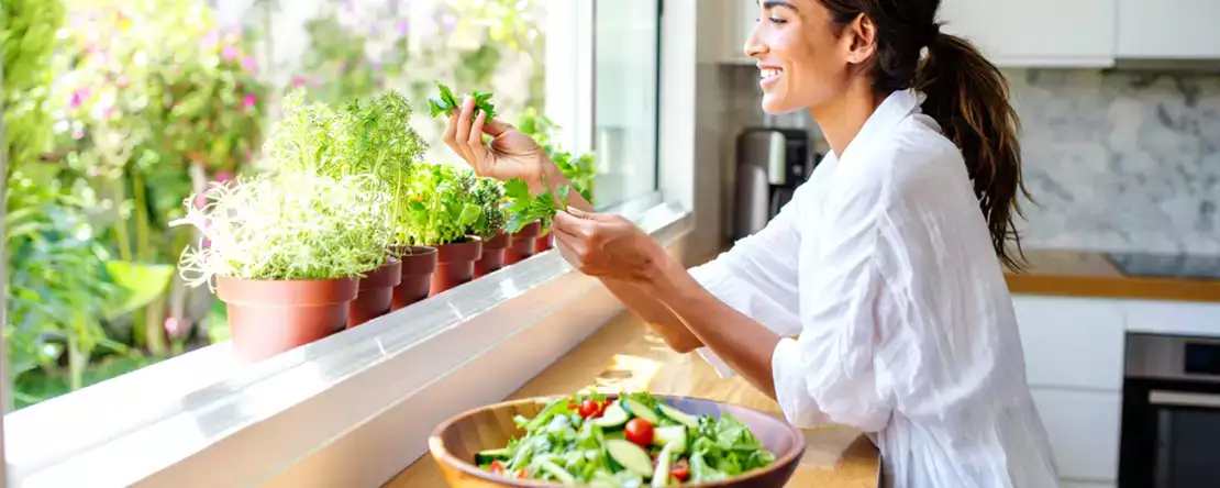5 kruiden die het best leven in de keuken en 5 die echt zonlicht nodig hebben