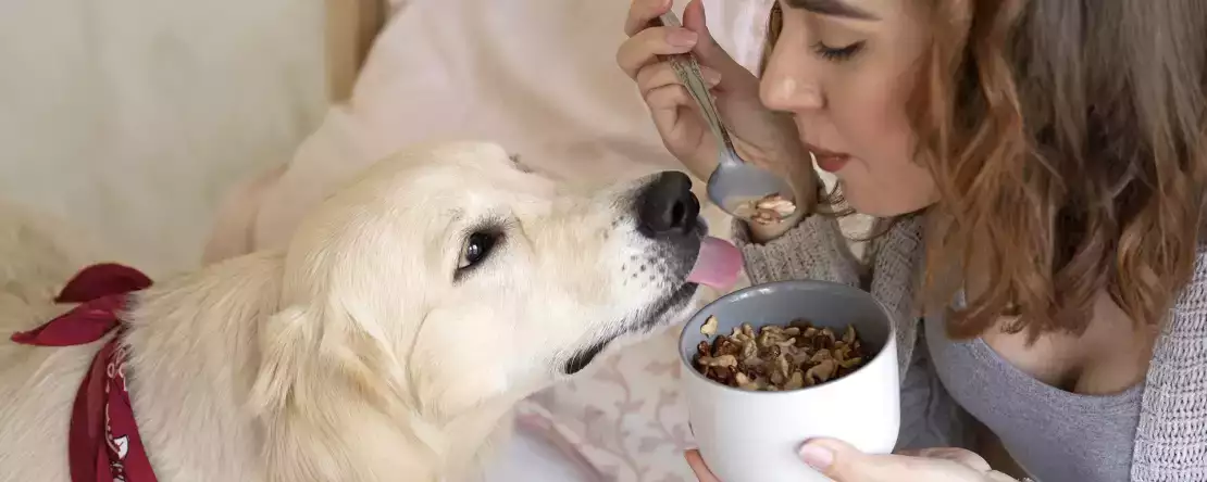 8 voedingsmiddelen die je absoluut niet aan je hond moet geven!