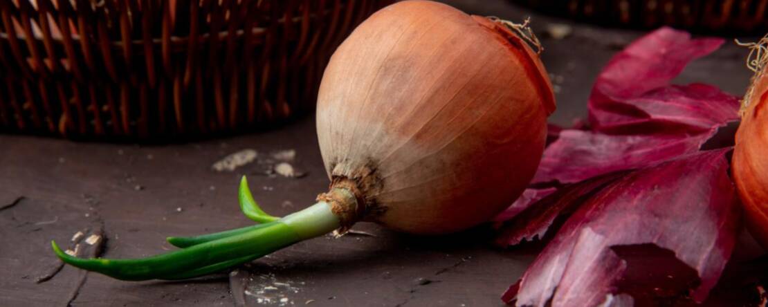 Gekiemde uien: zijn ze veilig om te eten of slecht voor je gezondheid? Lees wat je moet weten!