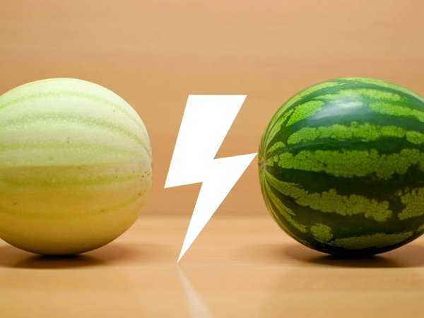 Meloen vs watermeloen: wat hydrateert beter?