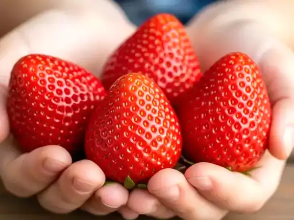Aardbeien blijven je verrassen: de waarheid achter hun gele puntjes