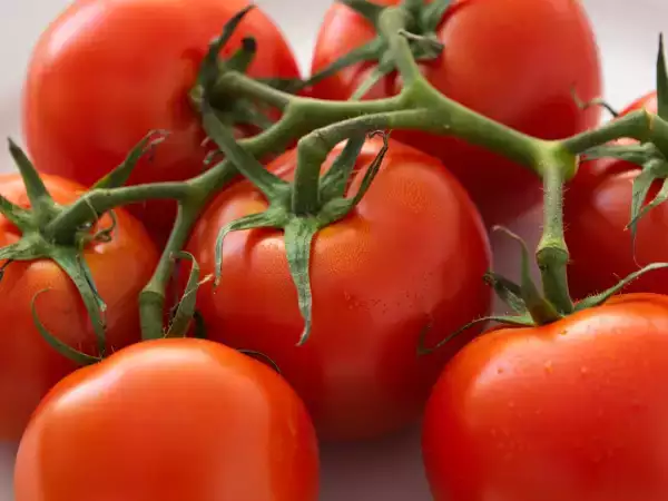 Tomaten: deze 8 recepten laten zien hoe je er meer van kunt maken dan alleen een salade.