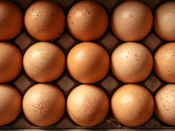 Eiwit, cholesterol, energie... wat gebeurt er als je elke dag eieren eet?