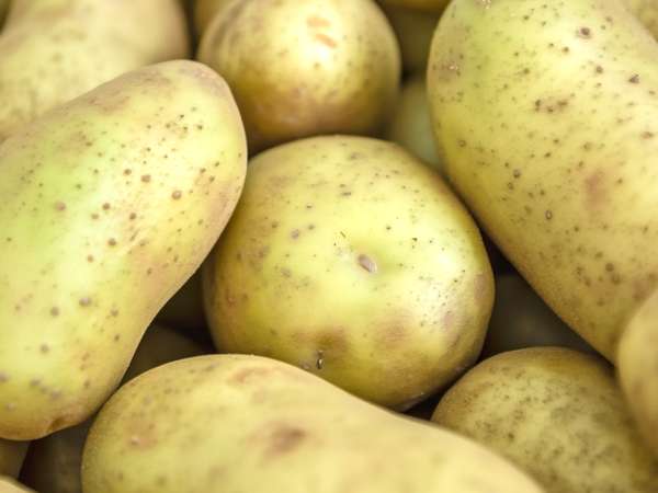 Denk je dat je hem gewoon schilt en dat dat alles is? Wat niemand je heeft verteld over de groenige aardappel in je keuken