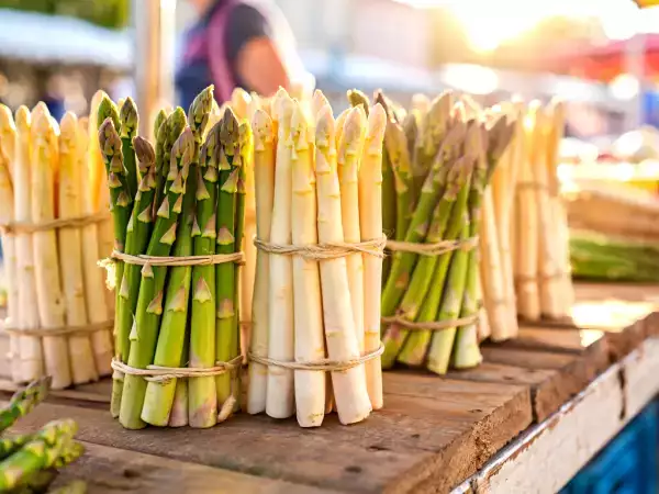 Asperges: waarom verandert het eten ervan echt je gezondheid in de lente?