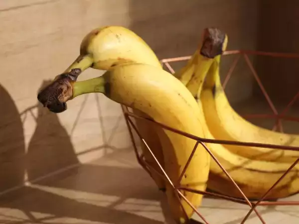 Moet je bananen echt in de koelkast bewaren - het duidelijke antwoord