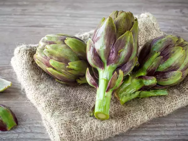 Hoe kunnen artisjokken langer bewaard worden zonder dat ze zwart worden?