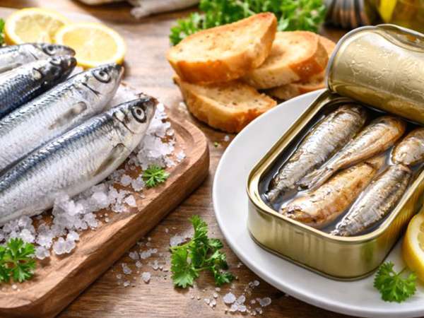 Verse sardines en sardines in blik: alles wat je moet weten voordat je beslist wat je op tafel zet