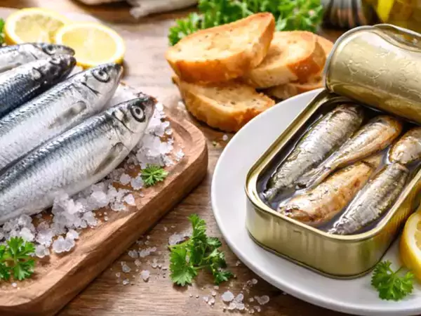 Verse sardines en sardines in blik: alles wat je moet weten voordat je beslist wat je op tafel zet