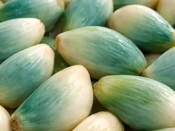 Groene of blauwe knoflook in je keuken? Veel mensen gooien het weg zonder te beseffen wat het echt betekent