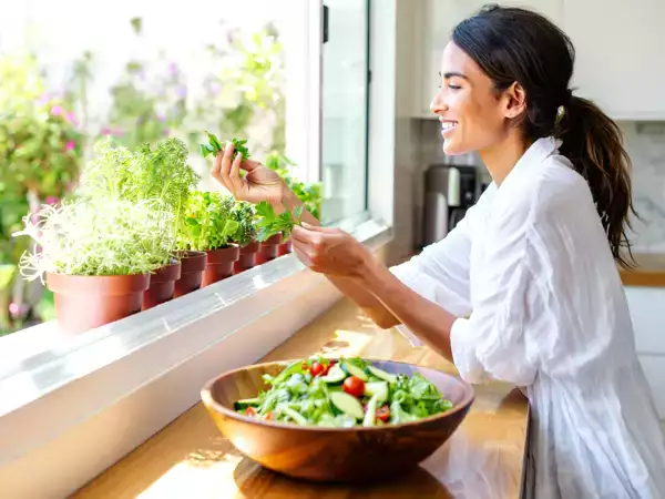 5 kruiden die het best leven in de keuken en 5 die echt zonlicht nodig hebben
