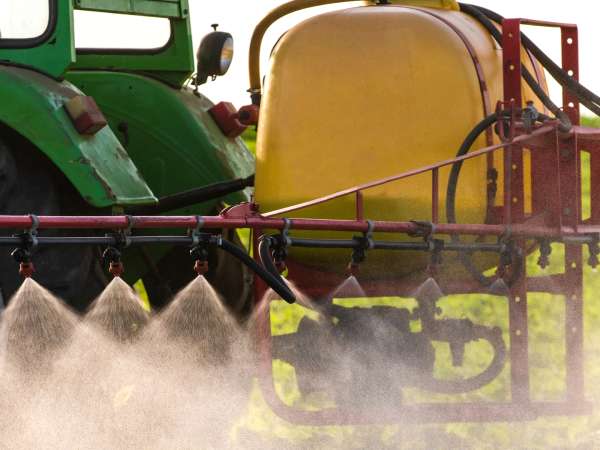 Is biologisch eten genoeg om cadmium te vermijden? Wat Anses echt zegt (en waarom het debat voor opschudding zorgt)