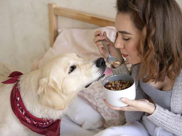 8 voedingsmiddelen die je absoluut niet aan je hond moet geven!