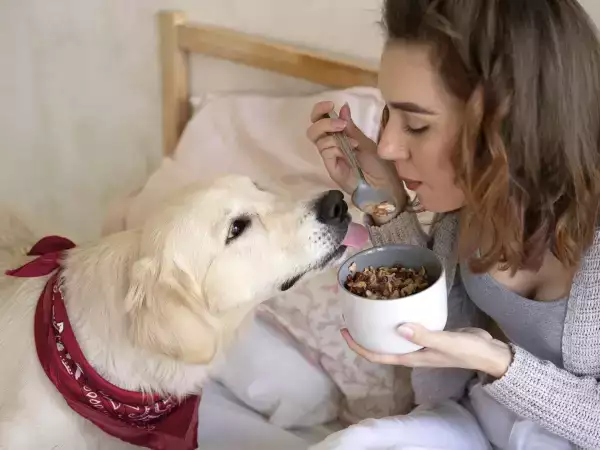 8 voedingsmiddelen die je absoluut niet aan je hond moet geven!