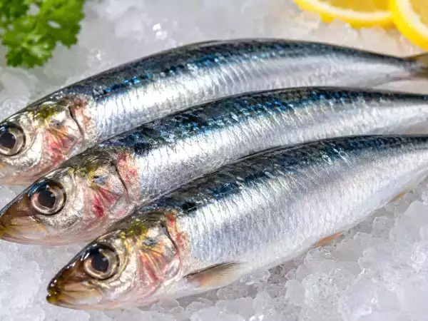 Hoe herken je een sardine die niet goed is? De signalen die je nooit mag negeren