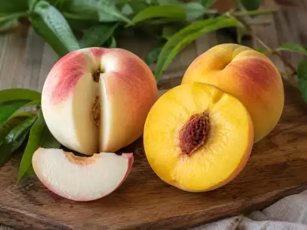 Witvis of gele vis: welke moet je kiezen, afhankelijk van het recept?