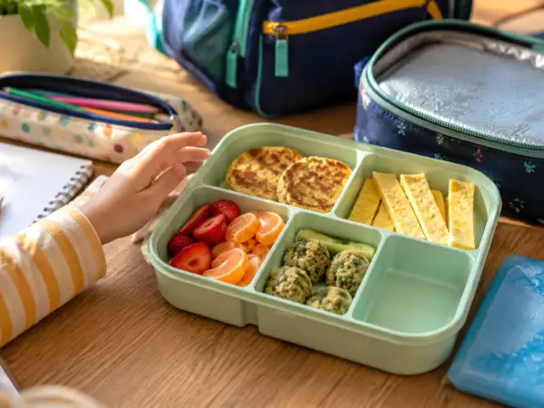 Lunchboxen voor kinderen voor op school: 5 regels om ervoor te zorgen dat het eten in goede staat blijft tot de pauze