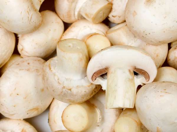 Zijn uw champignons een beetje bruin? Hier leest u wanneer u ze kunt bereiden en wanneer u ze moet weggooien
