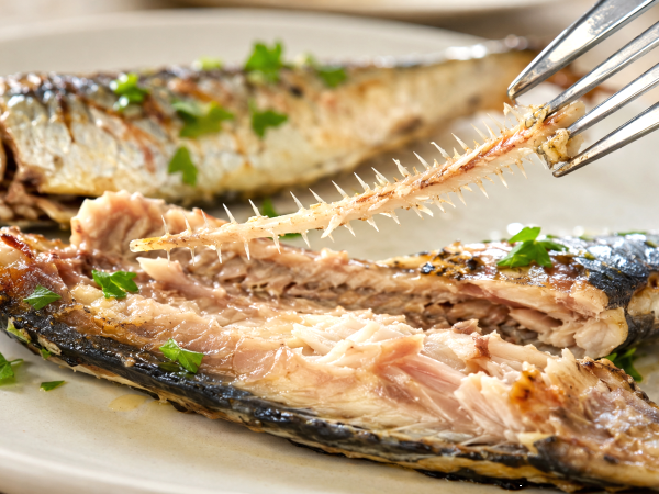 Je gooit het meest voedzame deel van de sardine weg zonder te beseffen wat je misloopt